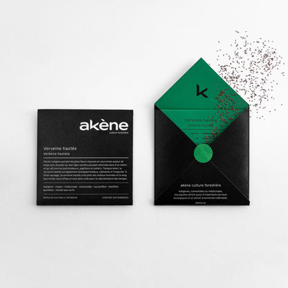 Semences - Verveine hastée Akène, culture forestière